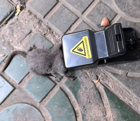 КАПАН ЗА МИШКИ